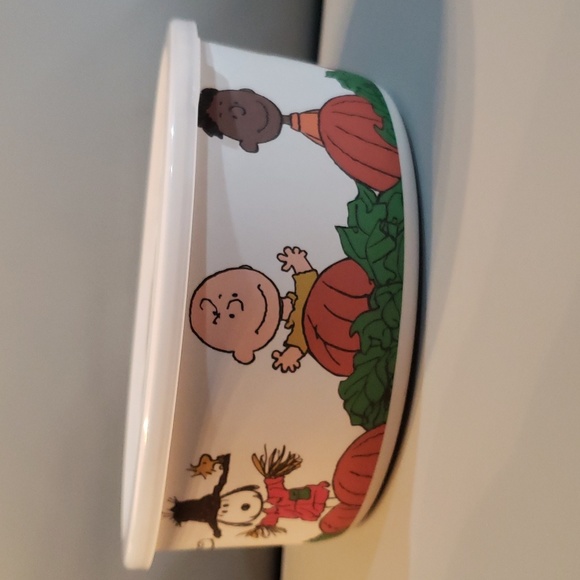 Peanuts character great pumpkin bamboo fibre bowl with lid NWT - Picture 3 of 6